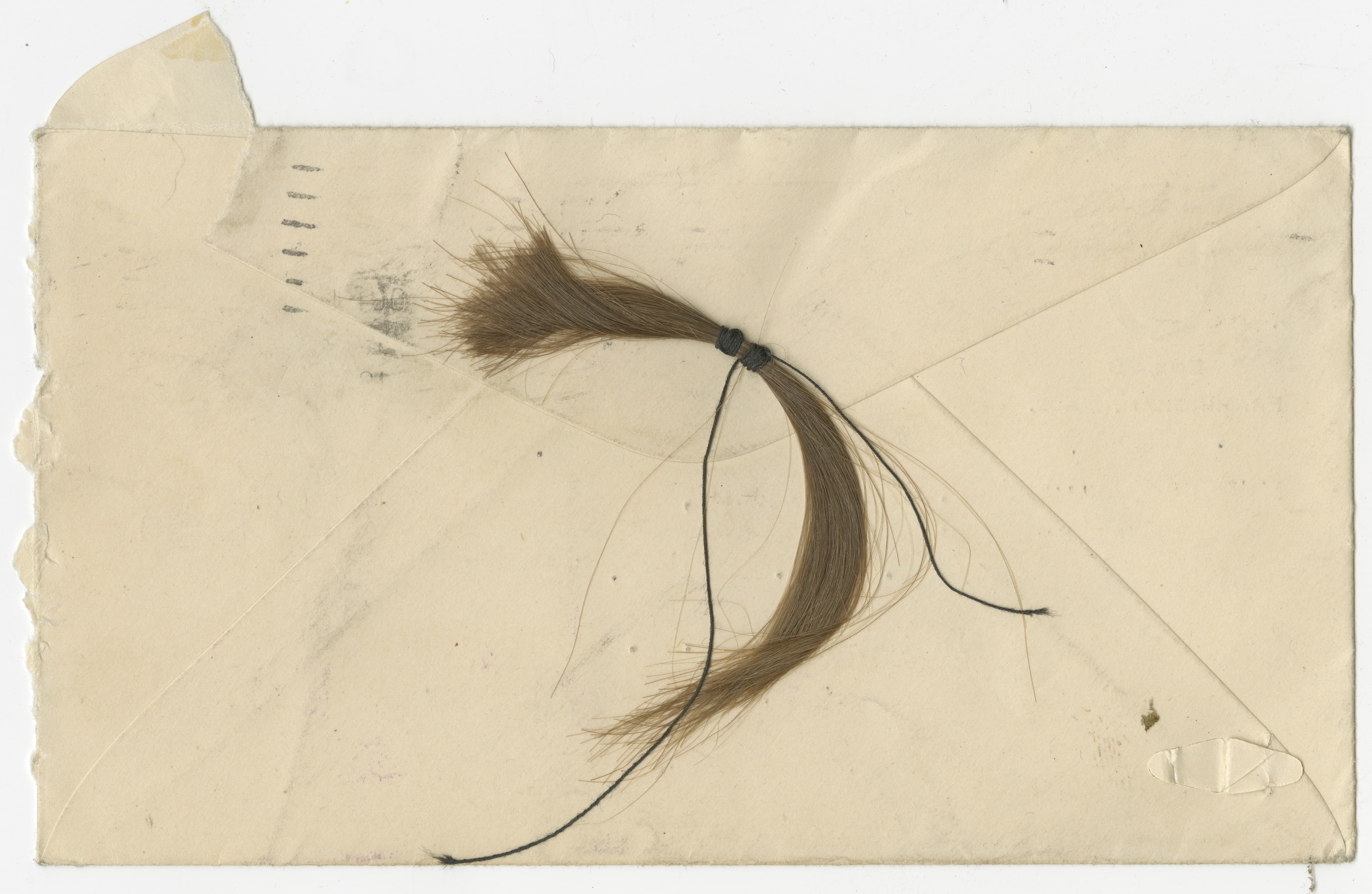 Lock of hair tied with black thread, found in the case file of Della Patton (#11160)