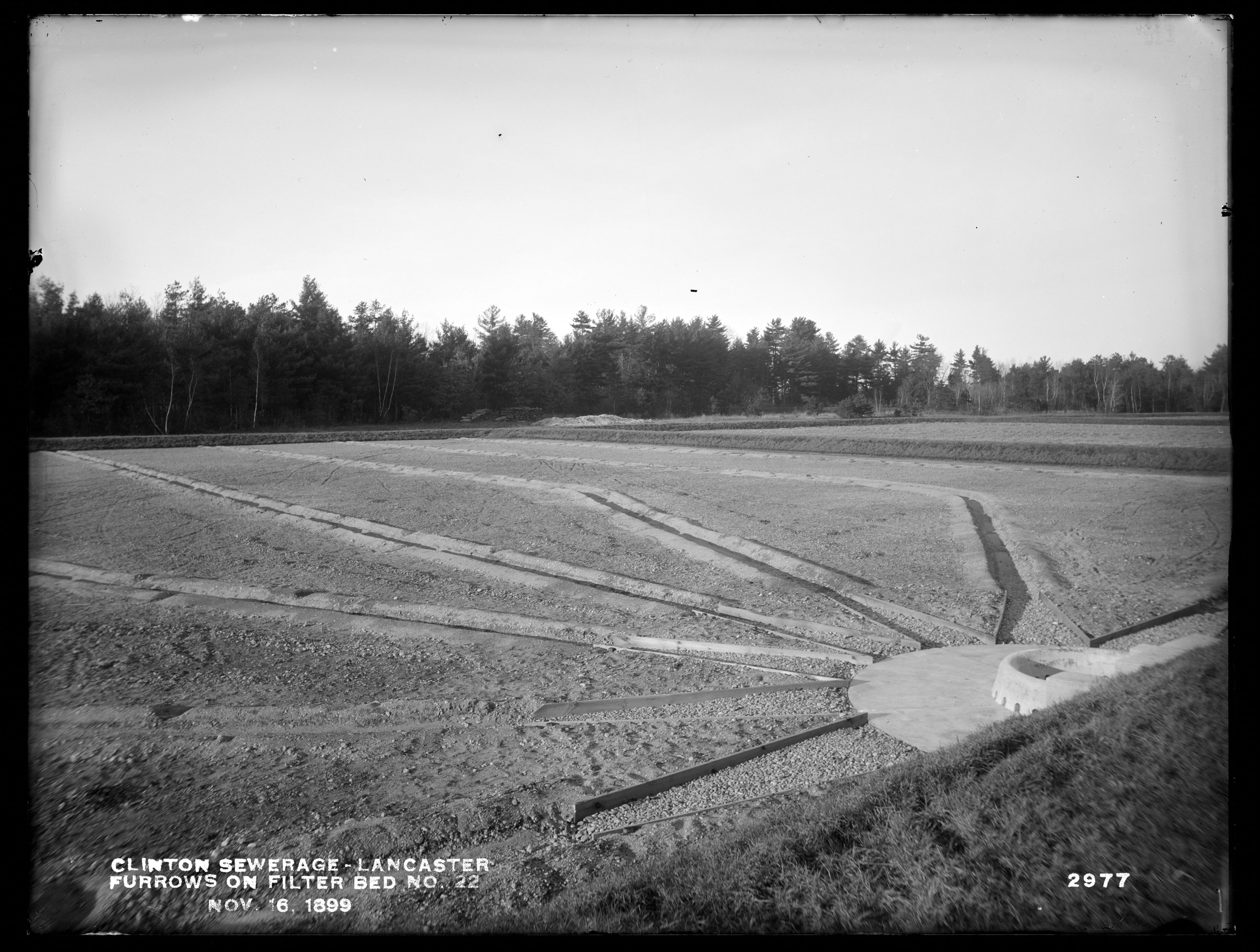 Clinton Sewerage, Furrows on Filter-Bed No. 22, Lancaster, Mass., Nov. 16, 1899
