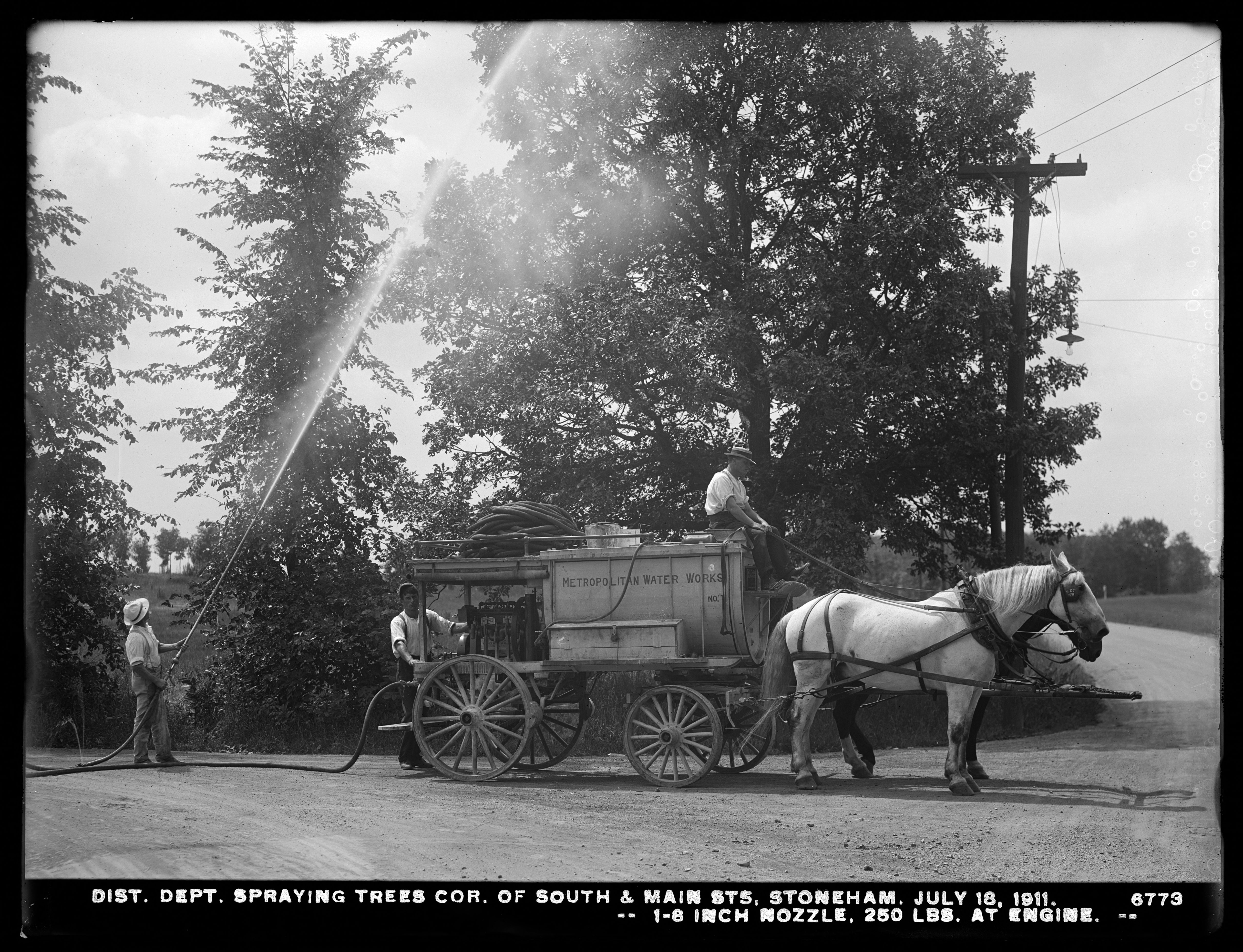 Distribution Department, Low Service Spot Pond Reservoir, Spraying Trees Corner of South and Main Streets, Stoneham, Mass., Jul. 18, 1911